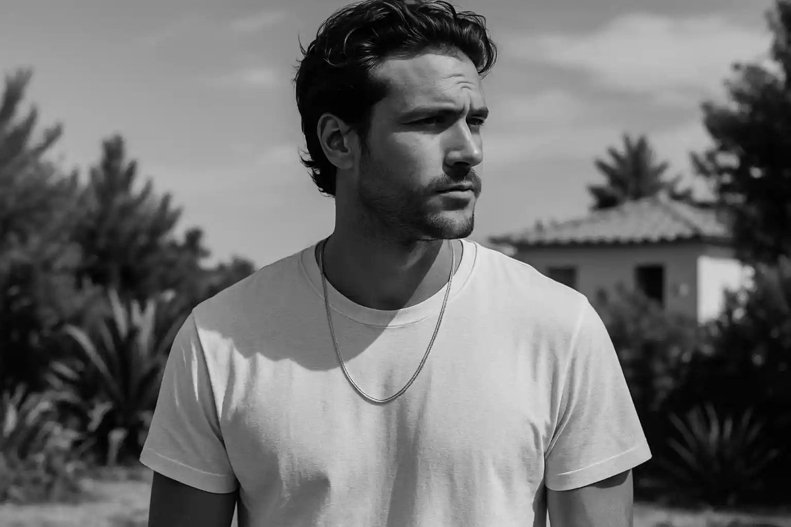 VENEV Bildbeschreibung